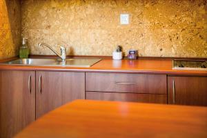 a kitchen with a sink and a wooden counter top at IK Apartamenty in Rzeszów