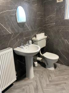 a bathroom with a sink and a toilet and a mirror at Baron Apartment B in Ballymena