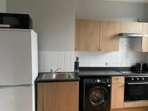 a kitchen with a sink and a dishwasher at Baron Apartment B in Ballymena