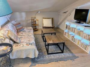 a living room with a couch and a tv at 16 Bis-Gîte-Hôtel-Appartement in Marssac-sur-Tarn