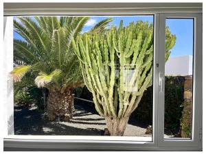 a window view of two palm trees in a yard at Villa Infinity Exclusive in Tías