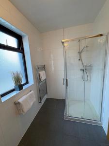 a bathroom with a shower with a glass door at Feeney's Audubon Lodge in Galway +27 photos