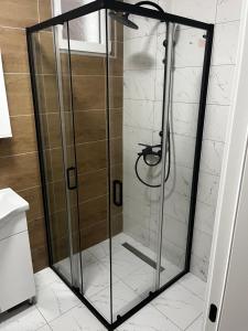 a shower with a glass door in a bathroom at Studio Vila Alto in Vrbas +9 photos