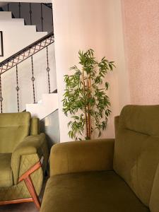 Gallery image of Casa Serenità in Surat