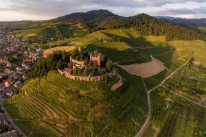 an aerial view of a castle on a hill at SK Ferienapartments Kappelrodeck in Kappelrodeck