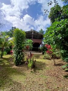 a house with a lot of plants in front of it at Lodge Kunawalu in Roura