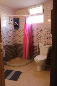 a bathroom with a toilet and a shower at The Blue House in Amman +27 photos