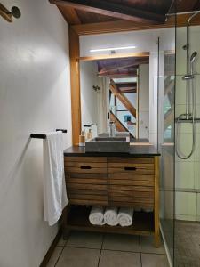 a bathroom with a sink and a mirror at Ti Palissandre in Entre-Deux