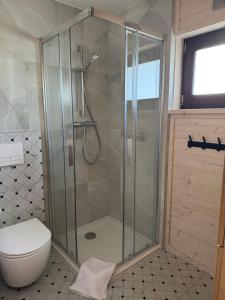 a bathroom with a shower and a toilet at Gołąbek Stronie Śląskie in Stronie Śląskie +23 photos