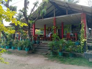 a house with plants in front of it at The Nest in Mahiyangana