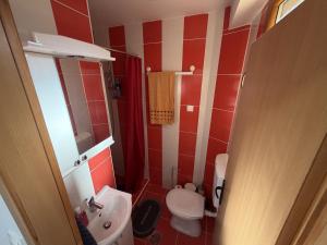 a small bathroom with a toilet and a sink at Evergreen Sokolina in Rača +16 photos