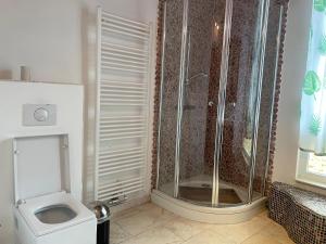 a bathroom with a shower and a toilet at Pension Hammoor in Hammoor +7 photos