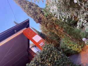 a building with plants on the side of it at The Residence - Spacious 4-Bed Tenterfield Home in Tenterfield