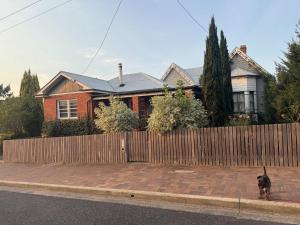 a dog standing in front of a fence in front of a house at The Residence - Spacious 4-Bed Tenterfield Home in Tenterfield +23 photos