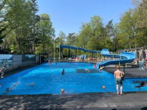 a group of people playing in a swimming pool at Detached Hoenderloo veluwshof in Hoenderloo