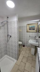 a bathroom with a shower and a sink and a toilet at Terry House in Sirmione +21 photos