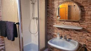 a bathroom with a sink and a shower and a mirror at Ferienwohnung Jochen Riederer in Neualbenreuth