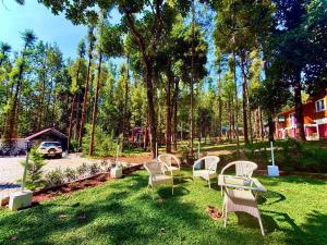 a group of chairs sitting in the grass in a yard at The Wild Deck - Chikkamagaluru in Chikmagalūr