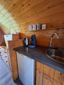 eine Küche mit Spüle und Arbeitsplatte in der Unterkunft Swifterlodge in Kerkenveld