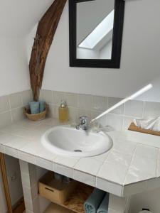 a bathroom with a sink and a mirror at Le Petit Lavoir - Maison Cosy à Mayet in Mayet +9 photos