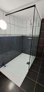 a shower in a room with a glass wall at Le Chalet des Côtes in Cornimont +18 photos