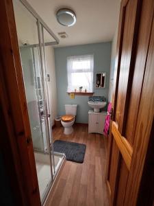 a bathroom with a shower and a toilet and a sink at Black Isle Pods & Chalet in Allangrange Station +21 photos