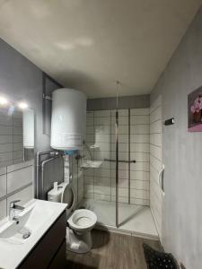 a bathroom with a shower and a toilet and a sink at Studio confortable proche thermes in Salins-les-Bains +10 photos