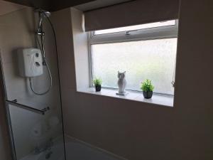 a bathroom with a window with a cat sitting on a window sill at Fieldside House Beautiful Sleeps 6 House with Decked Garden in Scarborough +46 photos