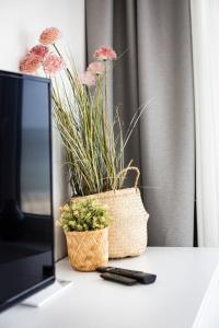 a plant in a basket next to a television at Ostsee Suite 4 - Strandperle in Niendorf