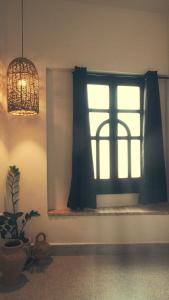 a window in a room with a plant in front of it at Nbta House in Tangier +30 photos