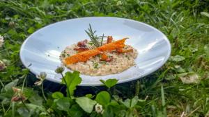 a white plate of food on the grass at Berghotel zum Zirm in Collalbo +112 photos