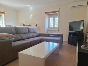 a living room with a couch and a tv at Casa do Pastana in Ancião