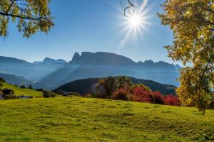 a grassy hill with the sun in the sky at Berghotel zum Zirm in Collalbo