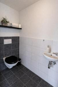 a bathroom with a toilet and a sink at Ballumerhoeve Fleuri lodge in Ballum +7 photos