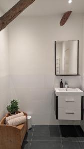 a bathroom with a sink and a mirror at Ballumerhoeve Petit lodge in Ballum