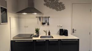 a kitchen with a sink and a stove at Ballumerhoeve Petit lodge in Ballum