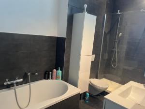 a bathroom with a shower and a tub and a toilet at Holiday house with private jaccuzi - Leuven city center in Leuven