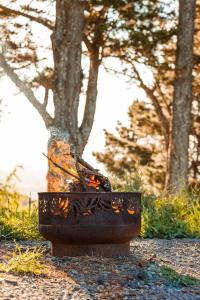 a flower pot sitting on the ground next to a tree at Exclusive luxury tiny home in an idyllic setting in Glenquarry