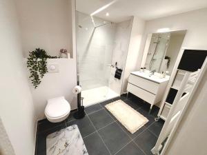 a bathroom with a shower and a toilet and a sink at L'Instant Cocoon central-parking-4prs in Bourg-en-Bresse +5 photos