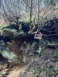 a birdhouse hanging from a tree on a trail at The Ladybower Inn in Bamford +10 photos