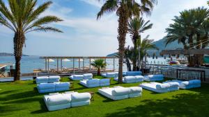 a group of blue and white lounge chairs on the grass at Flamm in Golturkbuku