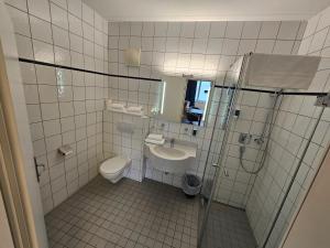 a bathroom with a toilet and a sink at Thalinger Hof in Kronstorf +78 photos