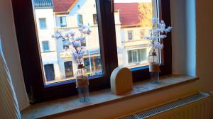 two vases with flowers sitting on a window sill at Ferienwohnung Hanna in Bitterfeld