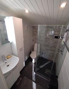a bathroom with a shower and a toilet and a sink at Huone lintukodossa in Helsinki +6 photos