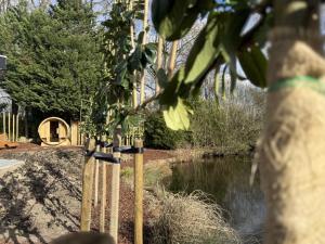 a group of bamboo poles next to a pond at Wellness huisje Sonne Oase in Lanaken +26 photos