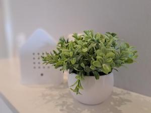 a green plant in a white vase on a table at Ferienwohnung Wandelweg in Kamp-Lintfort