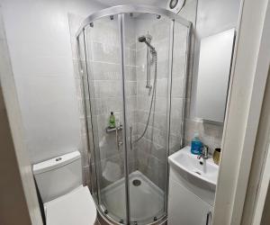 a bathroom with a shower and a toilet and a sink at Lovely studio flat in Reading