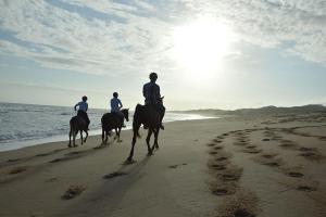 three people are riding horses on the beach at Lagoon Bay Chidenguele in Chidenguele