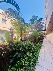 a courtyard of a building with palm trees and plants at Deja Blue in Westbrook