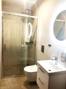 a bathroom with a shower and a toilet and a sink at Apartamenty przy Starym Basenie in Sobótka +18 photos